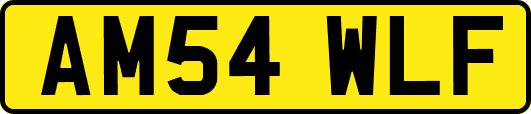 AM54WLF