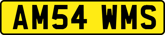 AM54WMS