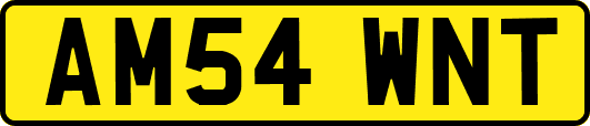 AM54WNT