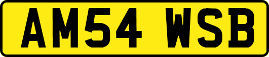 AM54WSB