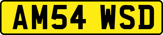 AM54WSD