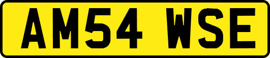 AM54WSE