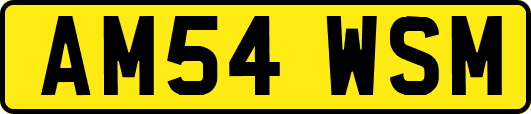 AM54WSM