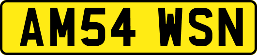 AM54WSN