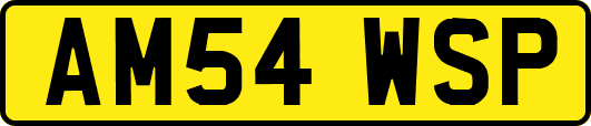 AM54WSP