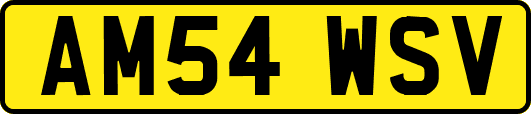 AM54WSV