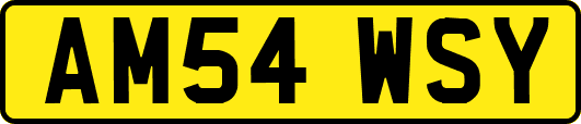 AM54WSY