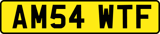 AM54WTF