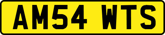 AM54WTS