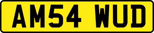 AM54WUD