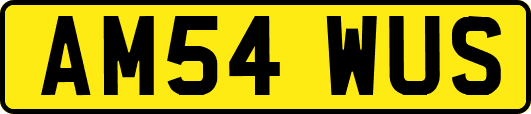 AM54WUS
