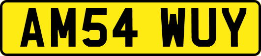 AM54WUY