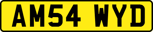 AM54WYD