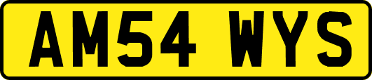 AM54WYS