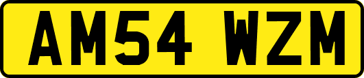 AM54WZM