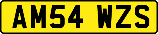 AM54WZS