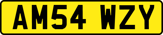 AM54WZY