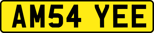 AM54YEE