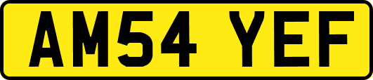 AM54YEF