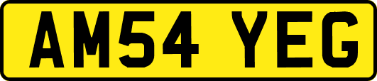 AM54YEG