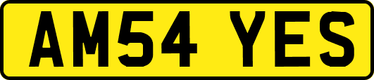 AM54YES