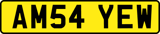 AM54YEW