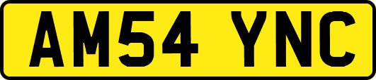 AM54YNC