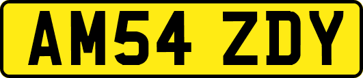 AM54ZDY