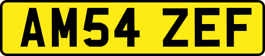 AM54ZEF