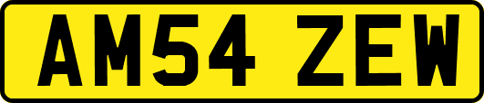 AM54ZEW
