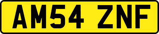 AM54ZNF