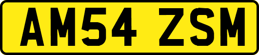 AM54ZSM