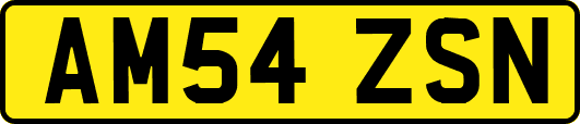 AM54ZSN