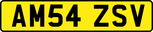AM54ZSV