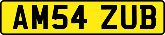AM54ZUB