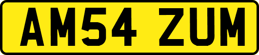 AM54ZUM