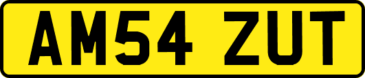 AM54ZUT