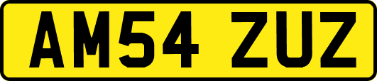 AM54ZUZ