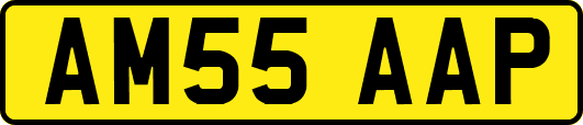 AM55AAP