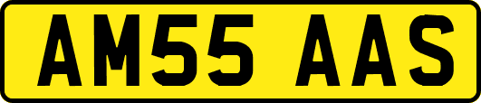 AM55AAS