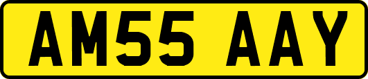 AM55AAY