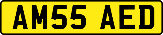 AM55AED