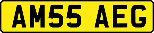 AM55AEG