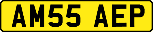 AM55AEP