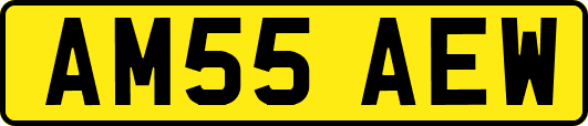 AM55AEW