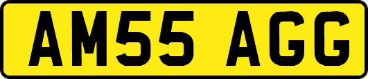 AM55AGG