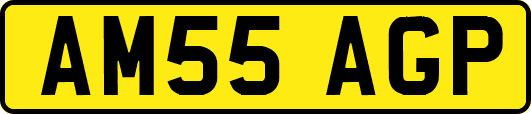 AM55AGP