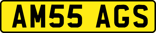 AM55AGS