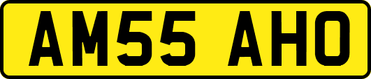 AM55AHO