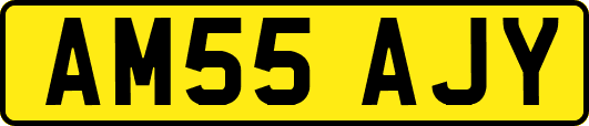 AM55AJY